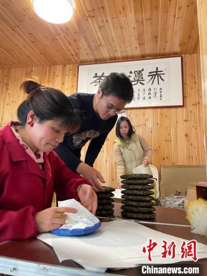 資料圖：杜贏(左二)在整理白茶餅?！×执阂?攝